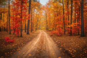 Один з найкращих віршів для моментів, коли життя йде не за планом